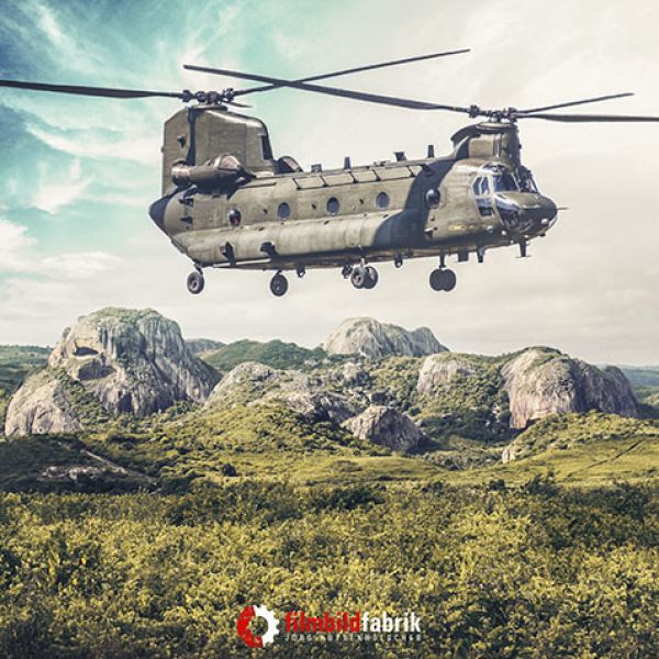 chinookA289554B-84EA-92EE-D56B-2D62B6BE3F35.jpg